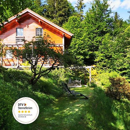 Ferienwohnung Am Woid - Herrliche Alleinlage - Vegane Einrichtung Waldkirchen Dış mekan fotoğraf